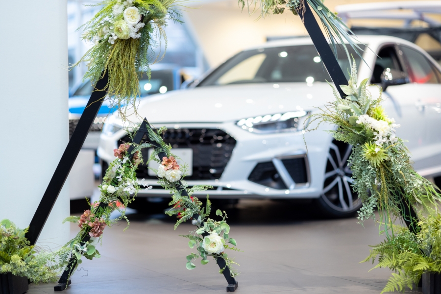 audi(S)-1